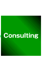 Consulting